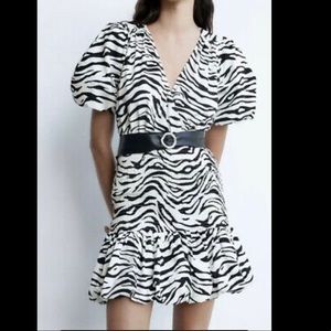 Zara Zebra Print Dress